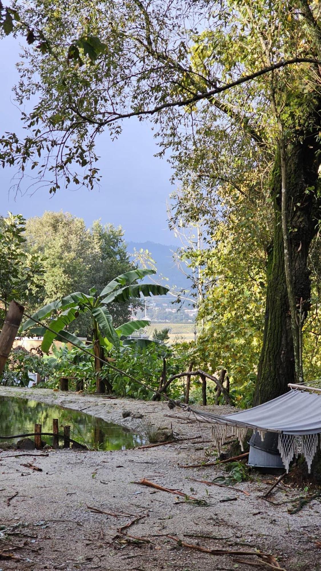 Hotel Quinta Miminel Rabuide Exteriér fotografie